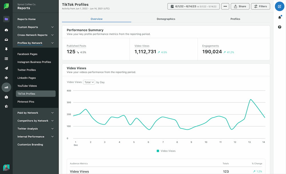 TikTok profile performance and video views report